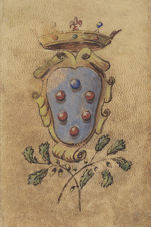 Vintage Medici Coat of Arms