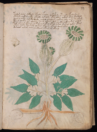 Voynich Manuscript Folio 33r (circa 1401-1599?)