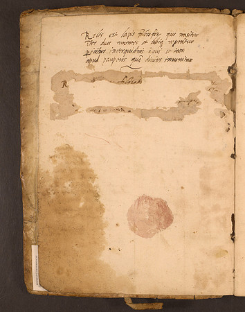 Erbario Incipit 1v