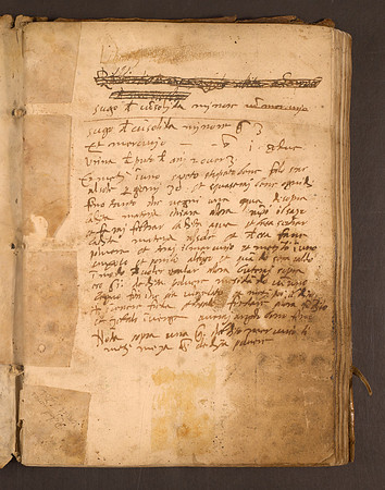 Erbario Incipit 1r