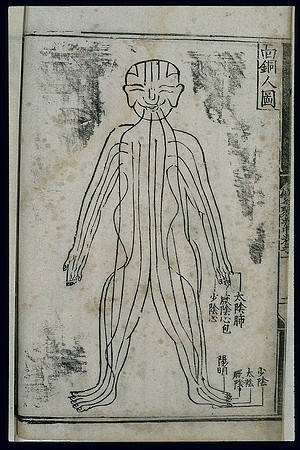 Bronze Man acupuncture figurine, front view, Chinese woodcut, featuring meridians associated with the heart, kidneys, liver, lungs, spleen, and stomach (circa 1537)