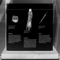 Prehistoric Artifacts at the Smithsonian - Black & White Inversion
