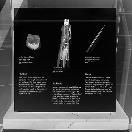 Prehistoric Artifacts at the Smithsonian - Black & White Inversion