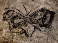 Reproduction Chauvet Cave Painting - Felines