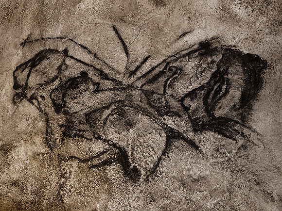 Reproduction Chauvet Cave Painting - Felines