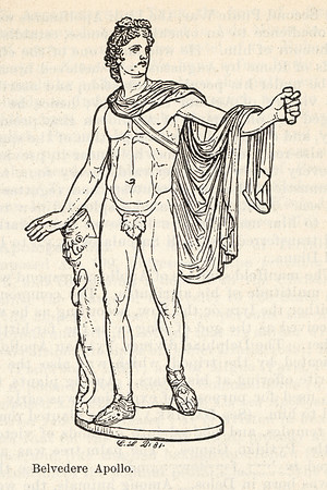 Vintage Illustration - Belvedere Apollo