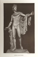 Vintage Photo Plate - Apollo Belvidere