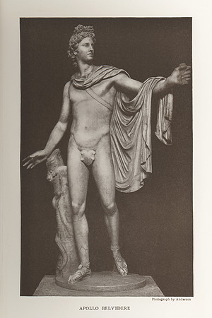 Vintage Photo Plate - Apollo Belvidere