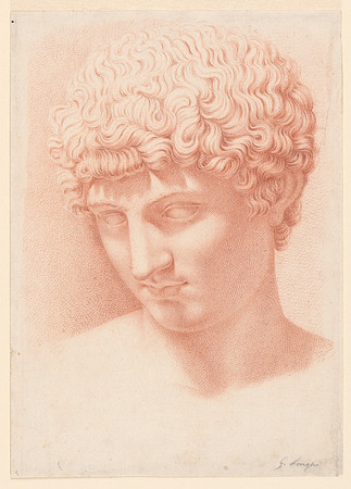 Head of Apollo (drawing by Giuseppe Longhi circa 1790-1830)