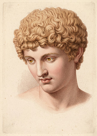 AI Color Drawing Recreation - Head of Apollo