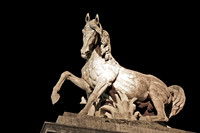 Cheval de Nuit