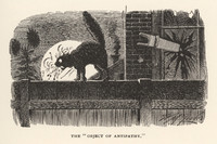 Vintage Illustration - The "Object of Antipathy."