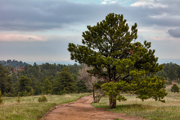 Walker Castle Trail