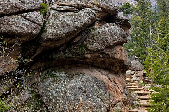 Rocky Mountain Guardian