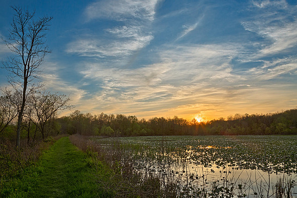 McKee-Beshers Sunset Marsh