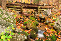 Autumn Logging Railroad Stream