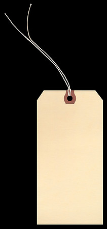Stringed Blank Vintage Tag