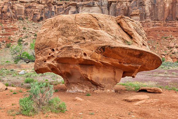 Duck Cap Rock