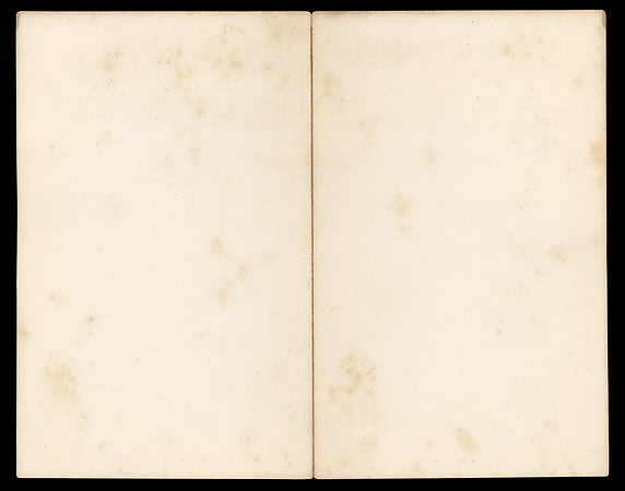 Vintage Blank Page Spread 2