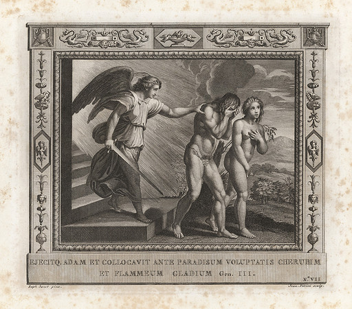 Vintage Image Plate - Ejection from Paradise