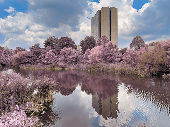 Bethesda Health Stream - Pastel Blossom