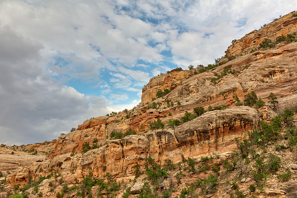 Devil's Cliff
