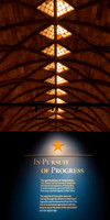 In Pursuit of Enlightened Progress