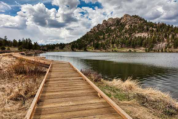 Lily Boardwalk Lake