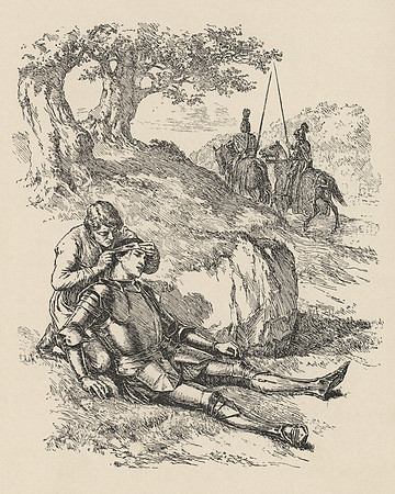 Vintage Illustration - Sore Wounds of Sir Berluse