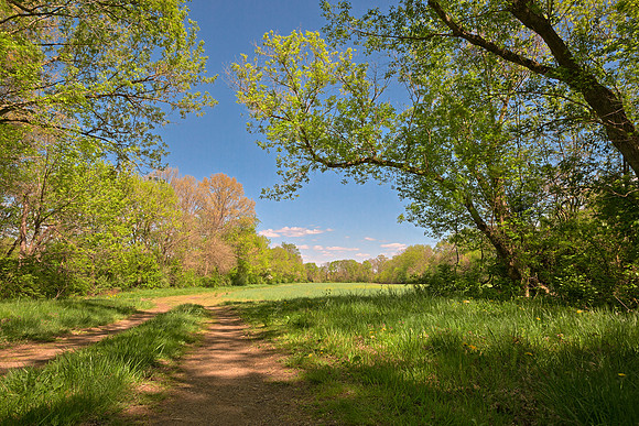 McKee-Beshers Trail