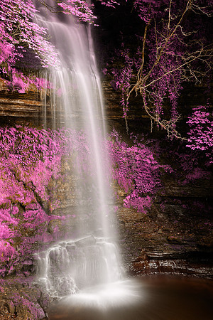 Pink Glencar Falls
