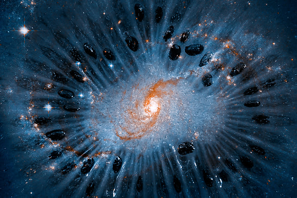 Cosmic Seeds of Life