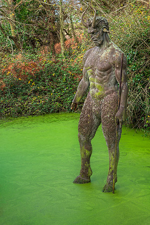 Jersey Satyr