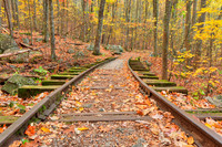 Autumn Logging Railroad