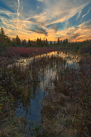 Autumn Dolly Sods Sunset