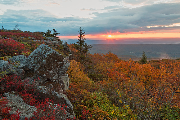 Autumn Dolly Sods Sunrise