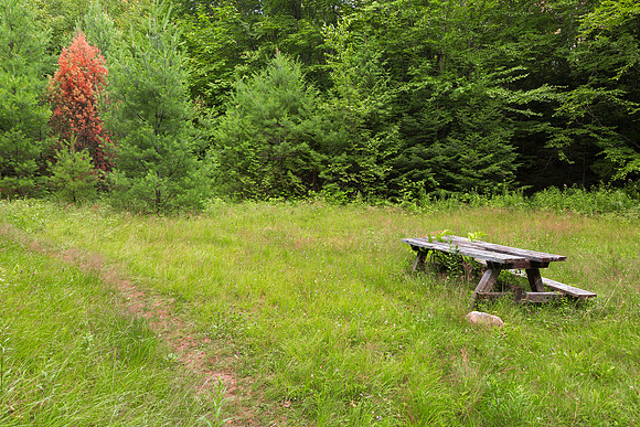 Off the Beaten Picnic Trail