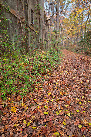 Fall Power House Trail