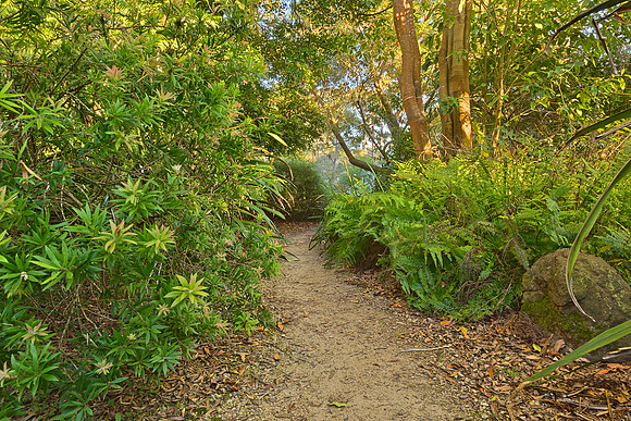 Botanic Trail
