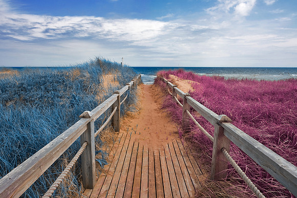 Passion Beach Boardwalk