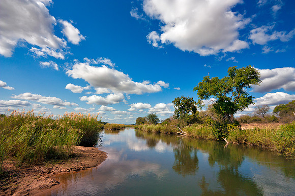 Kruger Park Landscape