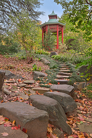 Oriental Garden