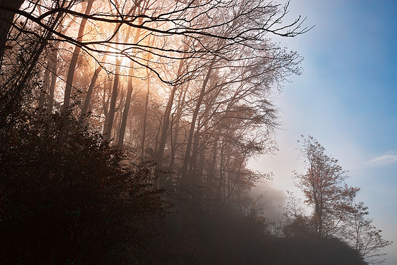 Misty North Point Scenery