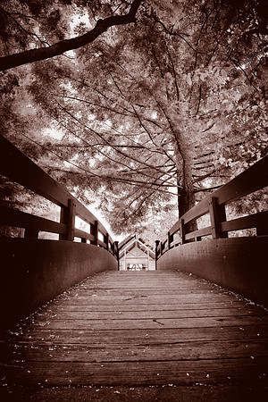 Sepia Bridge