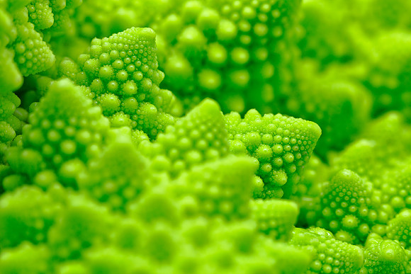 Macro Romanesco Broccoli