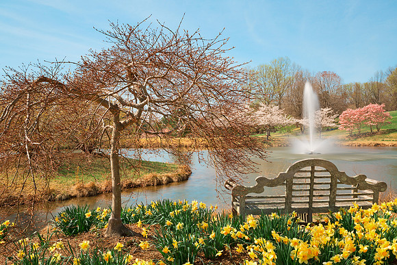 Meadowlark Spring Gardens