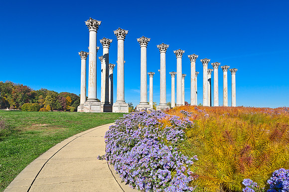Capitol Arboretum Columns