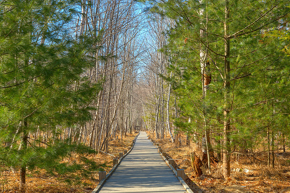 Jesup Boardwalk Trail