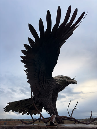 Montezuma Eagle Sculpture