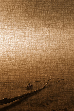 Sepia Deluge